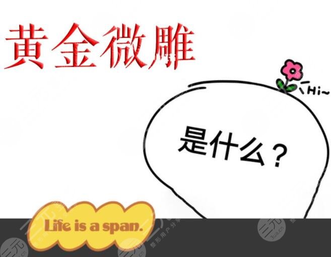 黄金微雕吸脂