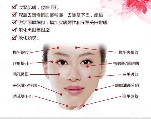 做欧洲之星的价格是多少