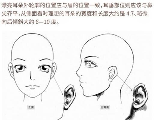 杯状耳怎样矫正