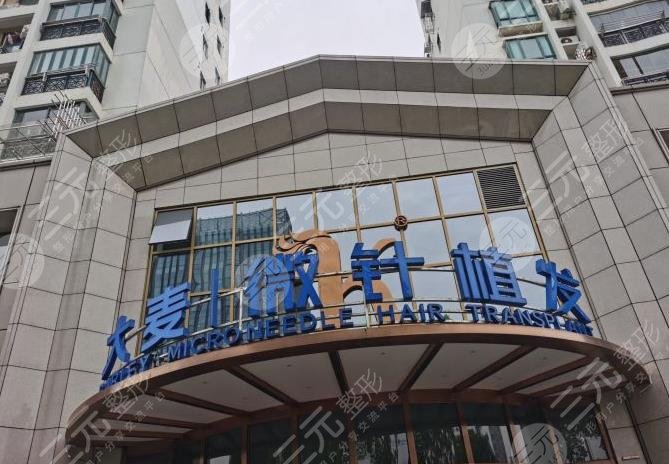上海大麦微针植发怎么样?正规吗?附价格表+发际线种植经历分享