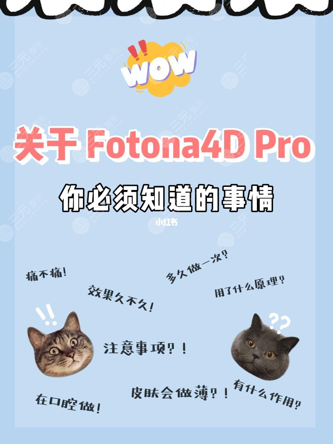 欧洲之星注意事项