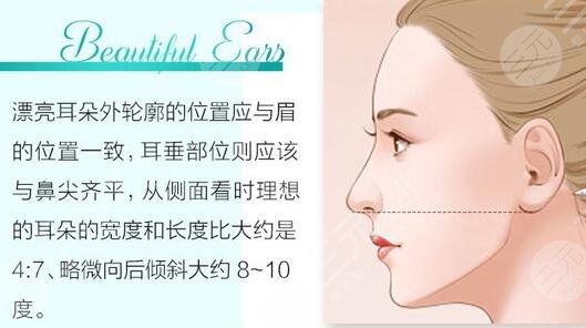 贴发耳矫正的价格