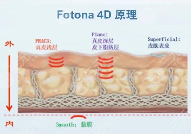 欧洲之星的作用原理
