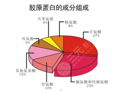 补充胶原蛋白