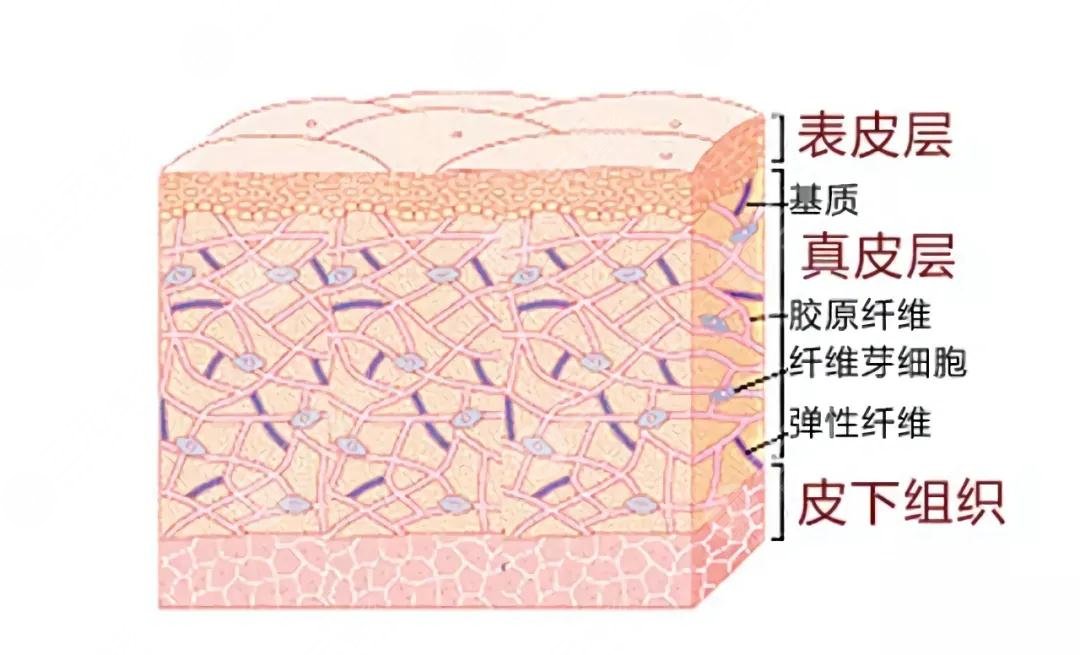 提升抗皱的副作用和危害