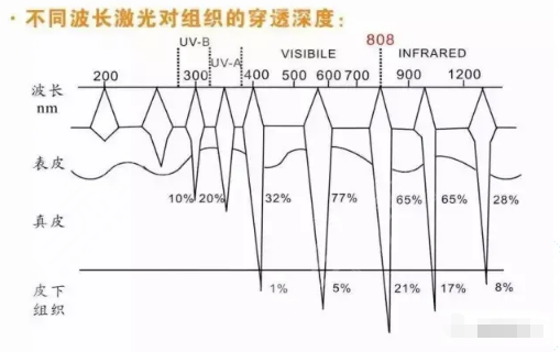 5d胶原光价格