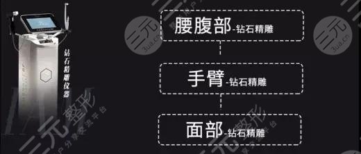 钻石多久能看到果