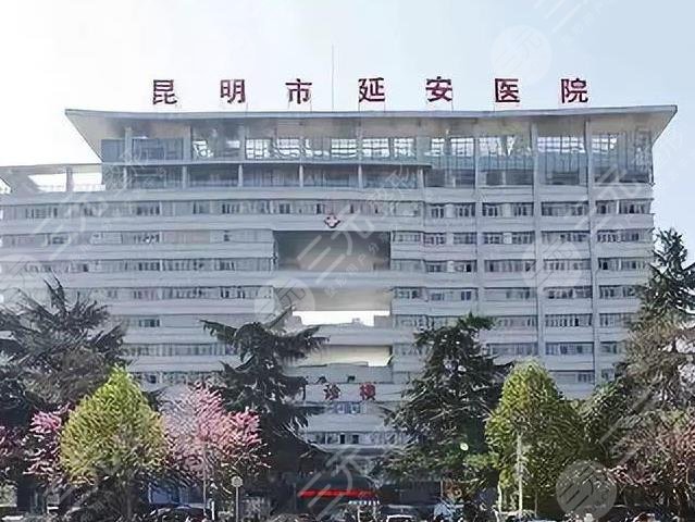 昆明植发三甲医院有哪些