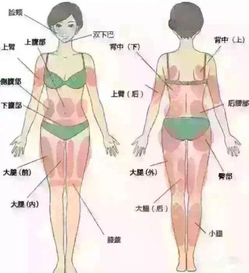 溶脂的作用与功
