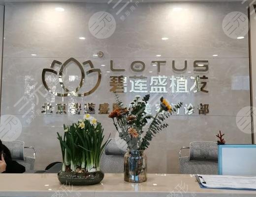 北京碧莲盛植发际线怎么样