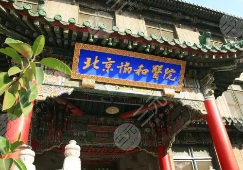 北京协和医院整形外科医生一览表|专家介绍，王阳脂肪填充案例种草