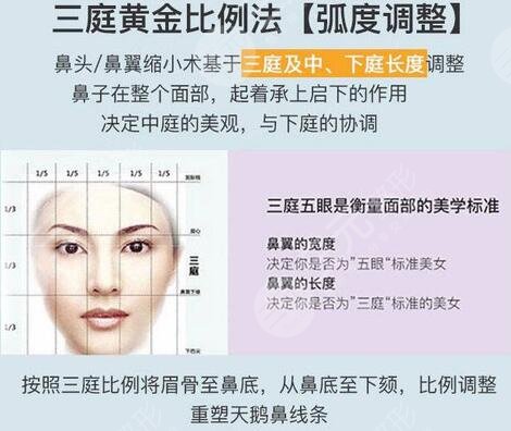 张金明医生科普鼻整形知识