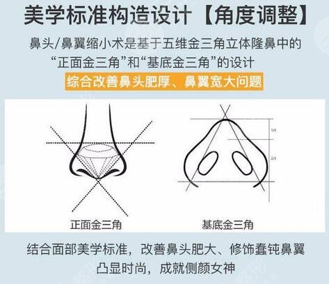 张金明医生科普鼻整形知识