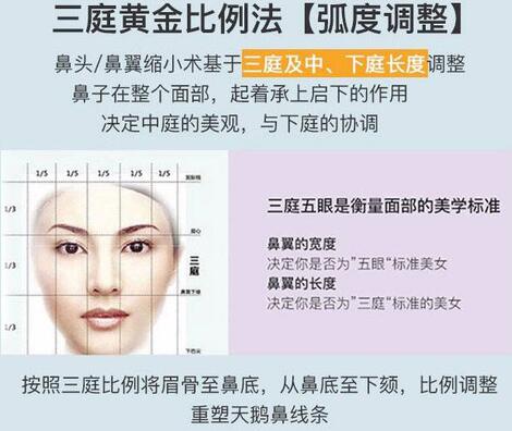 肥厚鼻尖矫正术方法