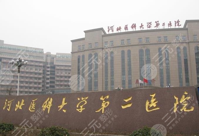 石家庄市正规植发医院排名