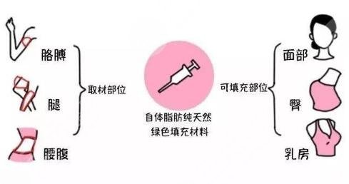 自体脂肪垫下巴价格表2021曝光!一般多少钱?来看你的钱包够不!
