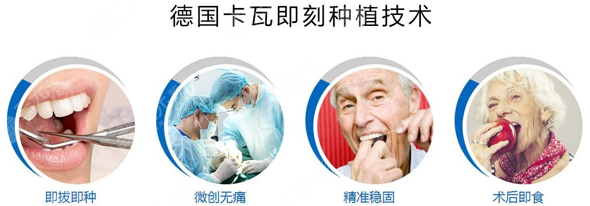 德国种植牙品牌及价格是多少