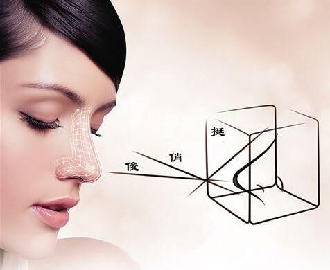 肥厚鼻尖矫正术