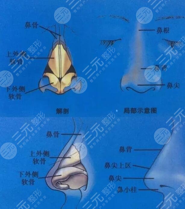 鼻部整形
