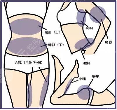 酷塑冷冻溶脂果