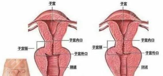私密整形