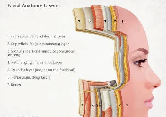 5gmax极速提拉技术优势