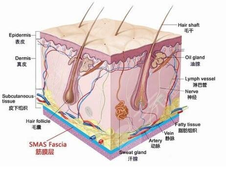 术后5~7天消肿