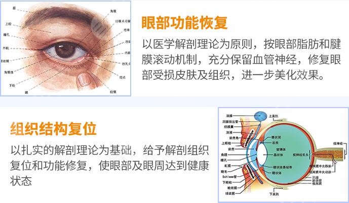 刘纲医生修复手术特点