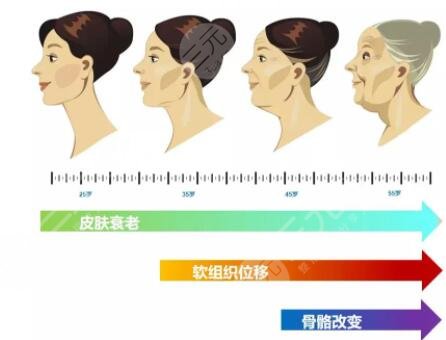 中面部拉皮手术切口在哪儿