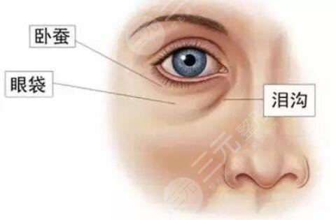 眼袋生长的原因有哪些