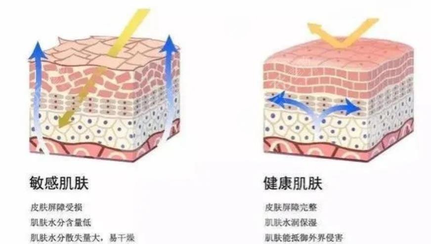 青春解码仪嫩肤