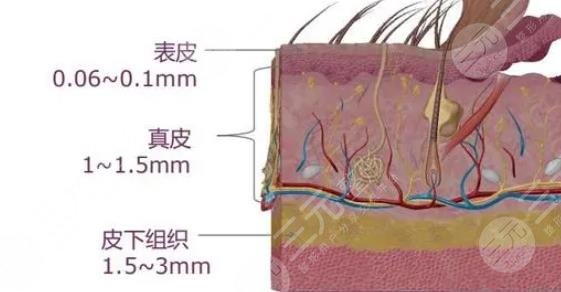 5gmax极速提拉注意事项