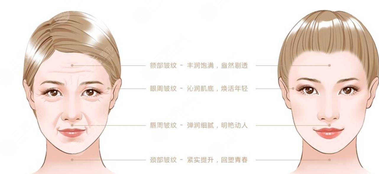 应用范围的不同