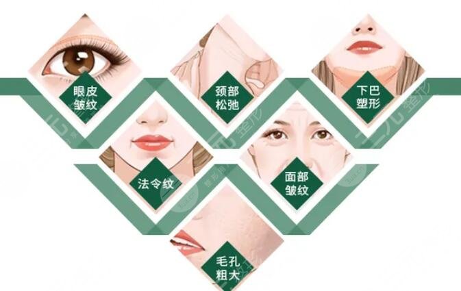 具体果