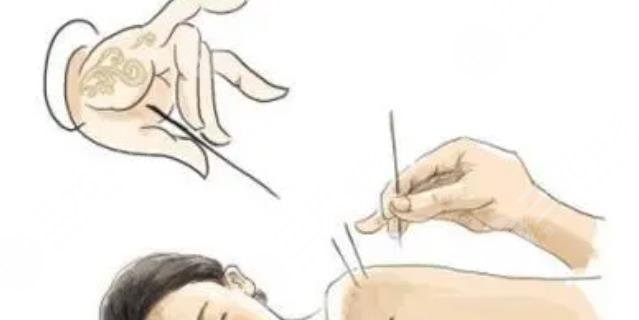中医中医减肥