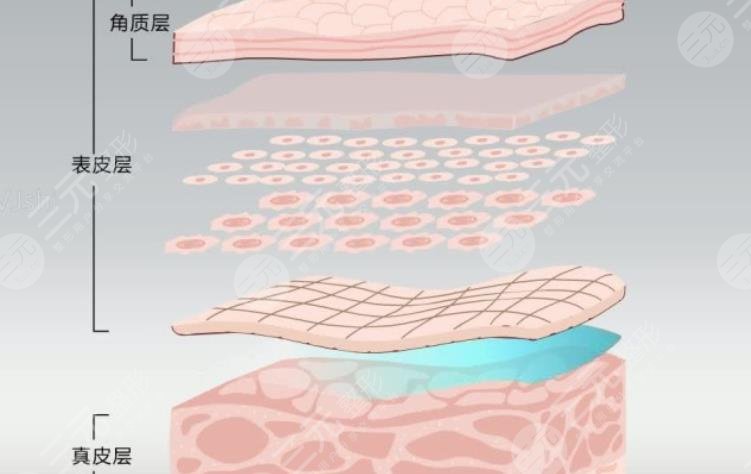 中胚层抗衰价格是多少果怎么样附原理介绍