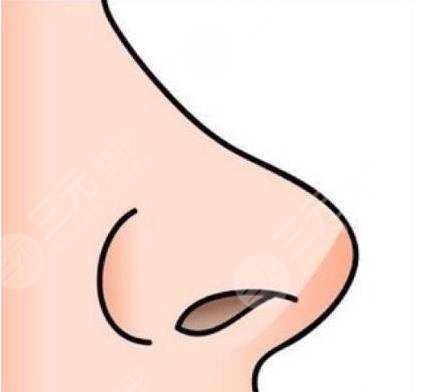 重庆隆鼻排名前十的医生