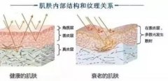 热玛吉到底有没有果,多久能见?人气超高的抗衰攻略来袭! 热玛吉到底有没有果,多久能见?人气超高的抗衰攻略来袭!
