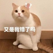 光子嫩肤科普：白菜好价人人趋之若鹜，做完又说“智商税”？误会解除！