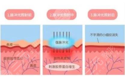 深蓝射频