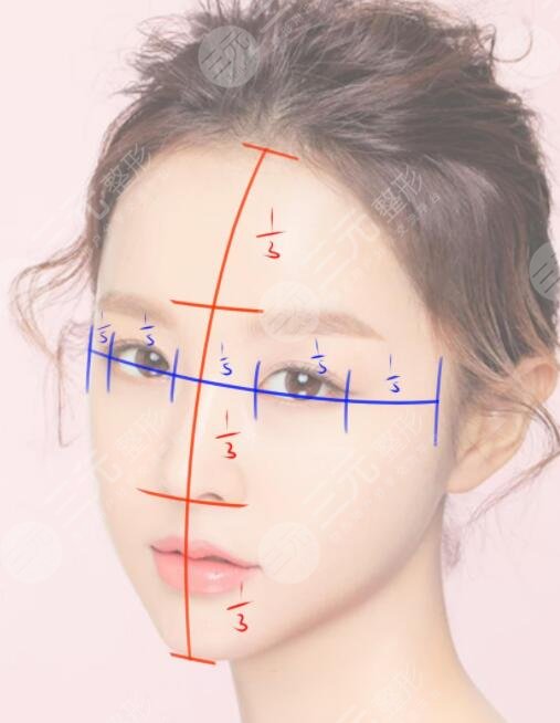 五官比例
