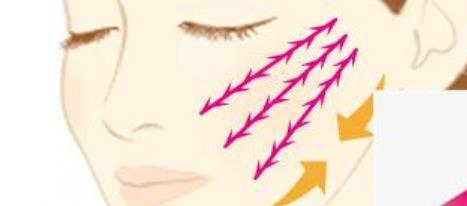 赛诺龙5gmax极速提拉