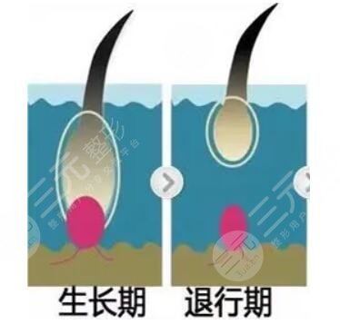 营养不良