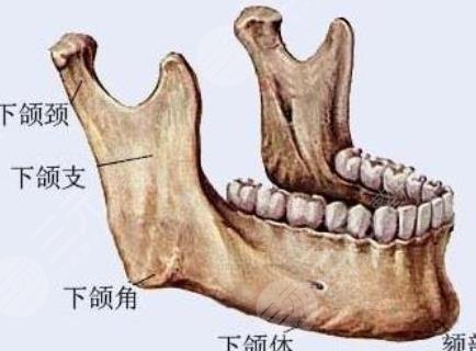 医生口碑点评|做的下颌角案例