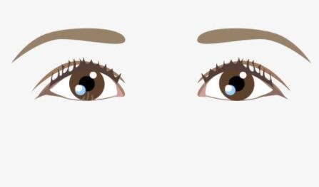 纹眉