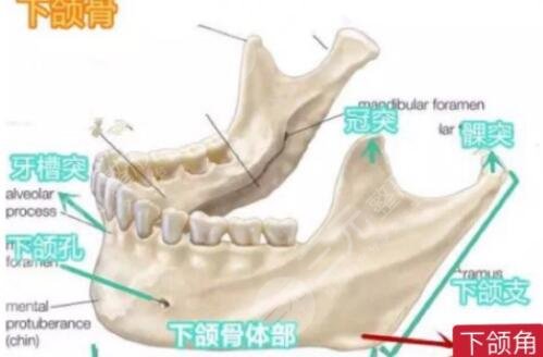 下颌角磨骨整形手术案例告诉你怎样变瓜子脸，精致小脸不是梦
