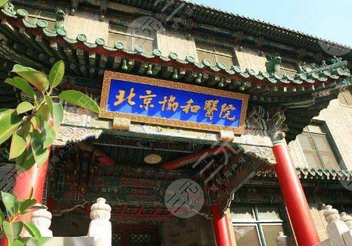 中国医学科学院北京协和医院