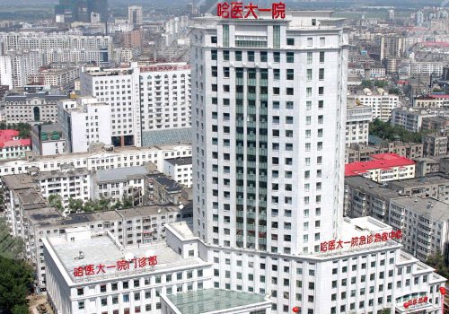 哈尔滨医科大学附属第一医院