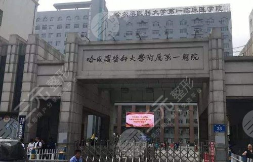 包含哈尔滨医科大学附属第四医院（哈尔滨市第一医院）号贩子挂号联系方式的词条
