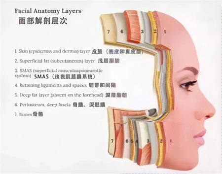 要想处理老化,较先第一步是要掌握皮肤老化有哪些.